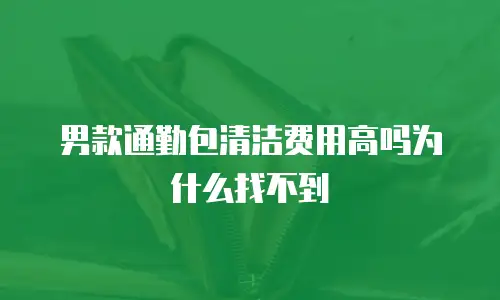 男款通勤包清洁费用高吗为什么找不到