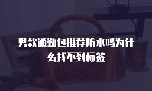 男款通勤包推荐防水吗为什么找不到标签