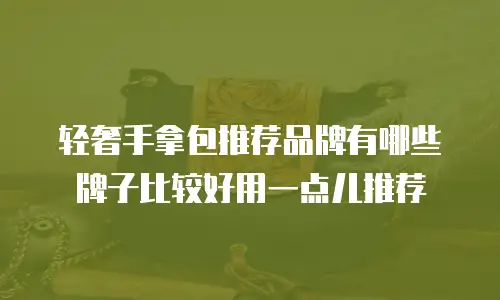 轻奢手拿包推荐品牌有哪些牌子比较好用一点儿推荐
