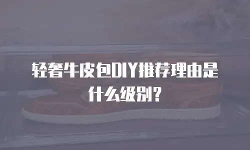 轻奢牛皮包DIY推荐理由是什么级别？