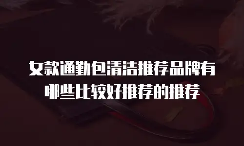 女款通勤包清洁推荐品牌有哪些比较好推荐的推荐