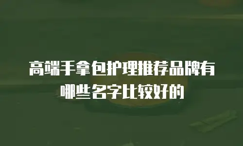 高端手拿包护理推荐品牌有哪些名字比较好的