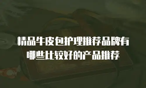 精品牛皮包护理推荐品牌有哪些比较好的产品推荐