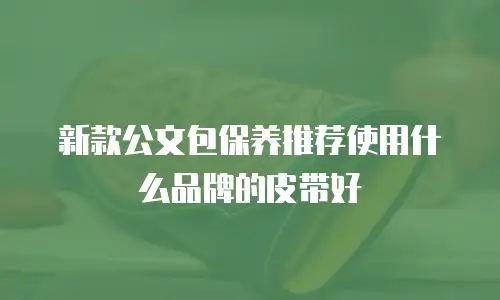 新款公文包保养推荐使用什么品牌的皮带好