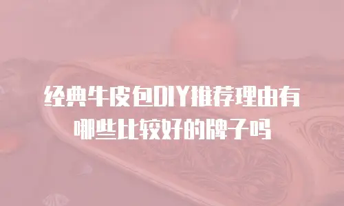 经典牛皮包DIY推荐理由有哪些比较好的牌子吗