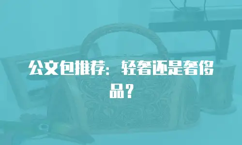 公文包推荐：轻奢还是奢侈品？