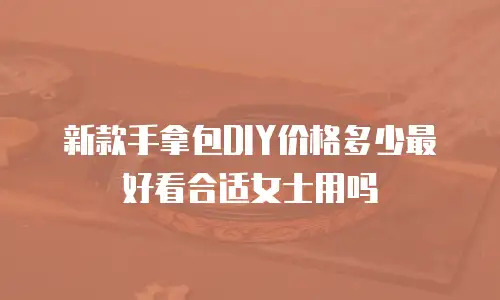 新款手拿包DIY价格多少最好看合适女士用吗