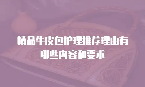 精品牛皮包护理推荐理由有哪些内容和要求