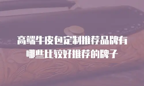 高端牛皮包定制推荐品牌有哪些比较好推荐的牌子