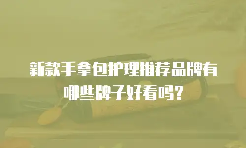 新款手拿包护理推荐品牌有哪些牌子好看吗？