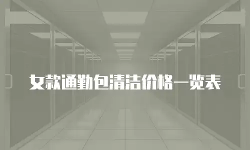 女款通勤包清洁价格一览表