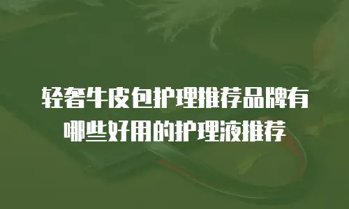 轻奢牛皮包护理推荐品牌有哪些好用的护理液推荐