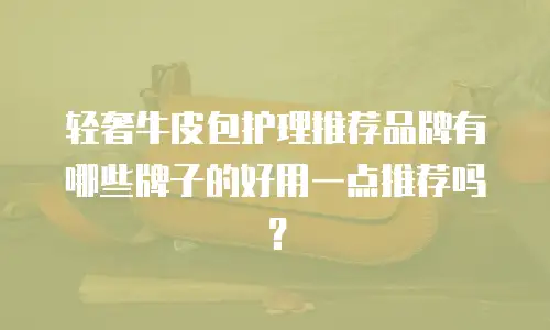 轻奢牛皮包护理推荐品牌有哪些牌子的好用一点推荐吗？