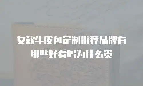 女款牛皮包定制推荐品牌有哪些好看吗为什么贵