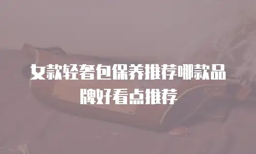 女款轻奢包保养推荐哪款品牌好看点推荐