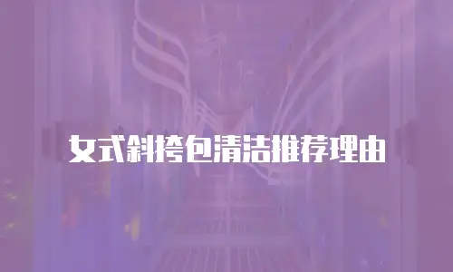 女式斜挎包清洁推荐理由