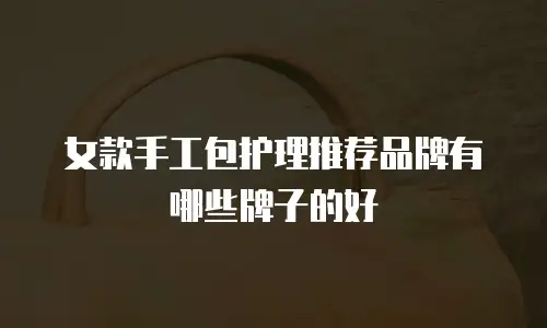 女款手工包护理推荐品牌有哪些牌子的好
