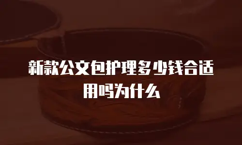 新款公文包护理多少钱合适用吗为什么