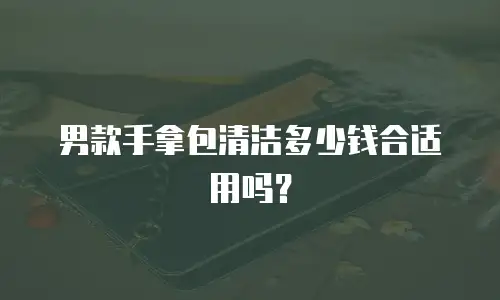男款手拿包清洁多少钱合适用吗？