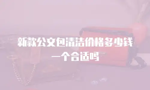新款公文包清洁价格多少钱一个合适吗