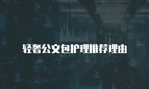 轻奢公文包护理推荐理由