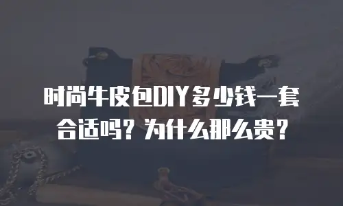 时尚牛皮包DIY多少钱一套合适吗？为什么那么贵？