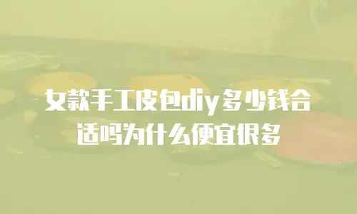 女款手工皮包diy多少钱合适吗为什么便宜很多