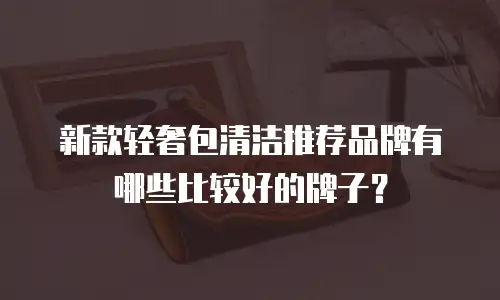 新款轻奢包清洁推荐品牌有哪些比较好的牌子？