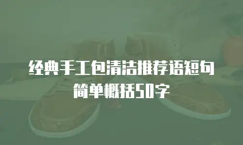 经典手工包清洁推荐语短句简单概括50字