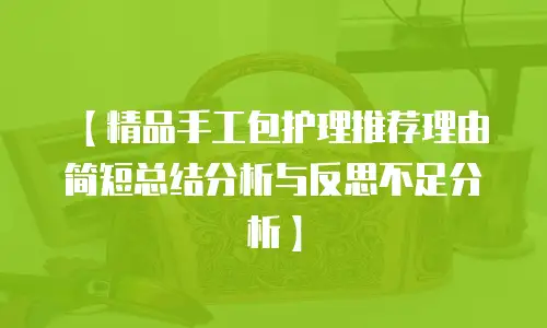【精品手工包护理推荐理由简短总结分析与反思不足分析】