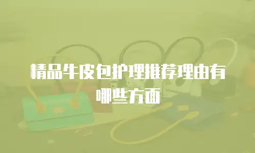 精品牛皮包护理推荐理由有哪些方面