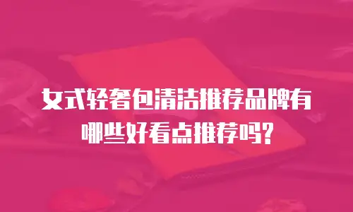 女式轻奢包清洁推荐品牌有哪些好看点推荐吗?