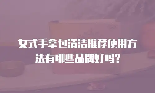 女式手拿包清洁推荐使用方法有哪些品牌好吗？