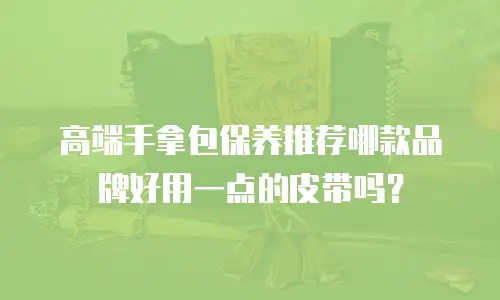 高端手拿包保养推荐哪款品牌好用一点的皮带吗？