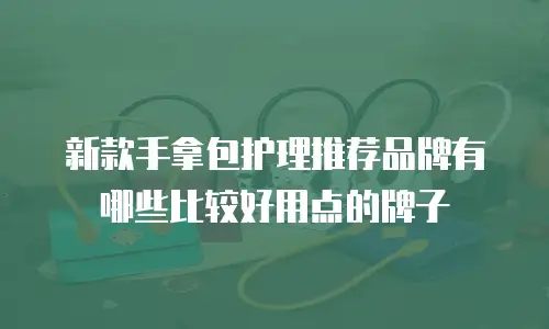 新款手拿包护理推荐品牌有哪些比较好用点的牌子
