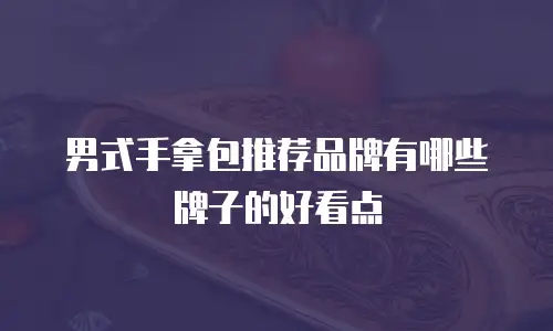 男式手拿包推荐品牌有哪些牌子的好看点