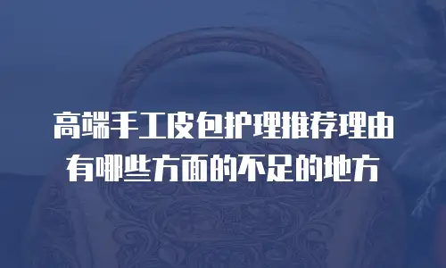 高端手工皮包护理推荐理由有哪些方面的不足的地方