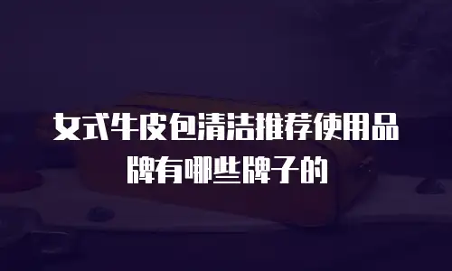 女式牛皮包清洁推荐使用品牌有哪些牌子的