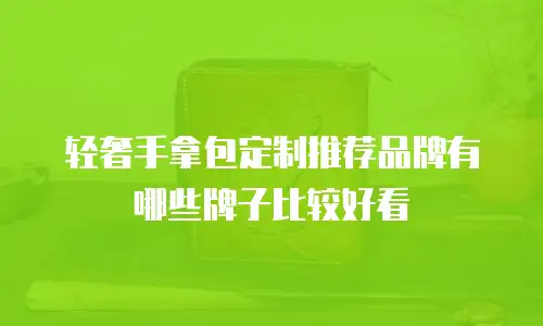 轻奢手拿包定制推荐品牌有哪些牌子比较好看