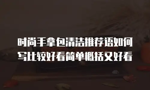 时尚手拿包清洁推荐语如何写比较好看简单概括又好看