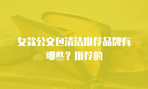 女款公文包清洁推荐品牌有哪些？推荐的