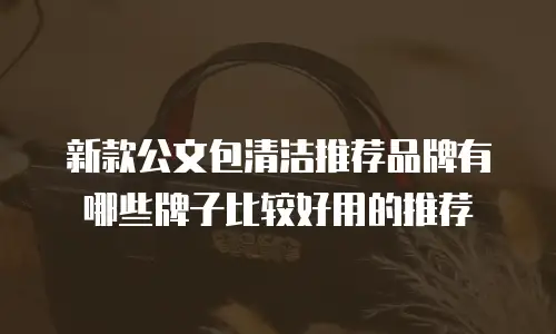 新款公文包清洁推荐品牌有哪些牌子比较好用的推荐