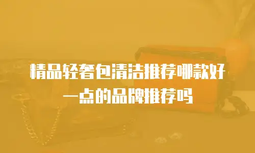 精品轻奢包清洁推荐哪款好一点的品牌推荐吗