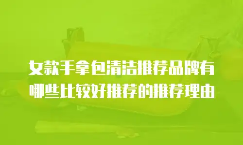 女款手拿包清洁推荐品牌有哪些比较好推荐的推荐理由