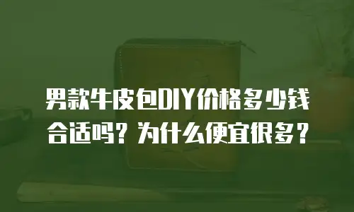 男款牛皮包DIY价格多少钱合适吗？为什么便宜很多？