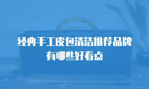 经典手工皮包清洁推荐品牌有哪些好看点
