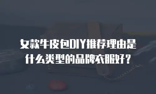 女款牛皮包DIY推荐理由是什么类型的品牌衣服好？