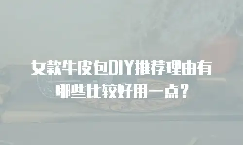 女款牛皮包DIY推荐理由有哪些比较好用一点？