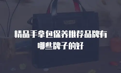 精品手拿包保养推荐品牌有哪些牌子的好