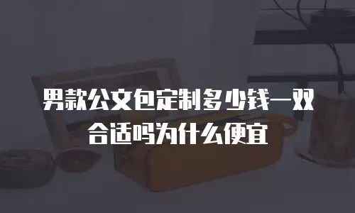 男款公文包定制多少钱一双合适吗为什么便宜